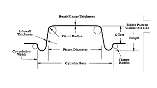 Double Coated Offset Convoluted