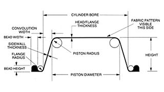 Rolling, Beaded Flange Diaphragms
