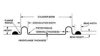 Convoluted Beaded Flange Diaphragms